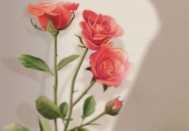 祝天下女神們節(jié)日快樂(lè)！??！